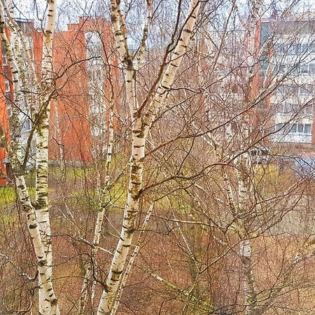 Birch View Apartment Елгава Экстерьер фото