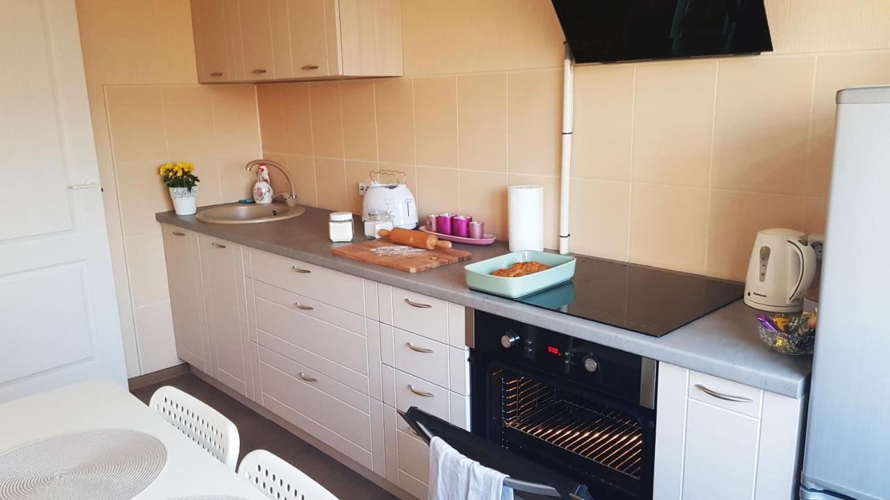 Birch View Apartment Елгава Экстерьер фото