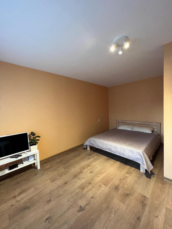 Birch View Apartment Елгава Экстерьер фото